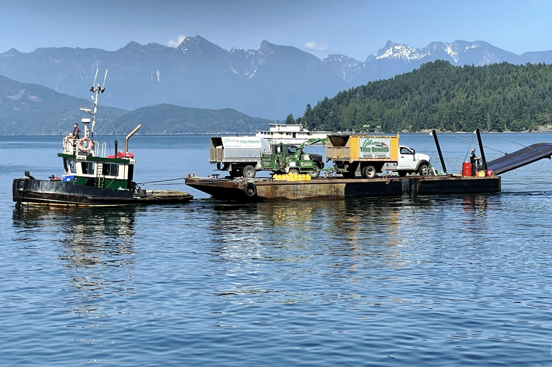 gibsons-tree-services-island-trees-01